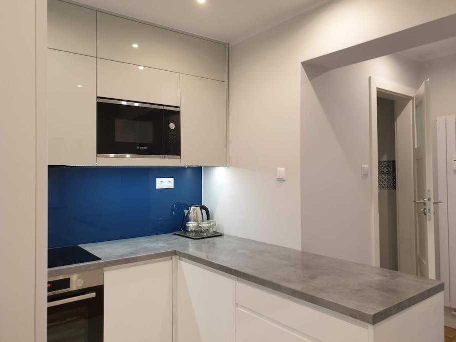 Apartment Duplex 250 M From Market Square